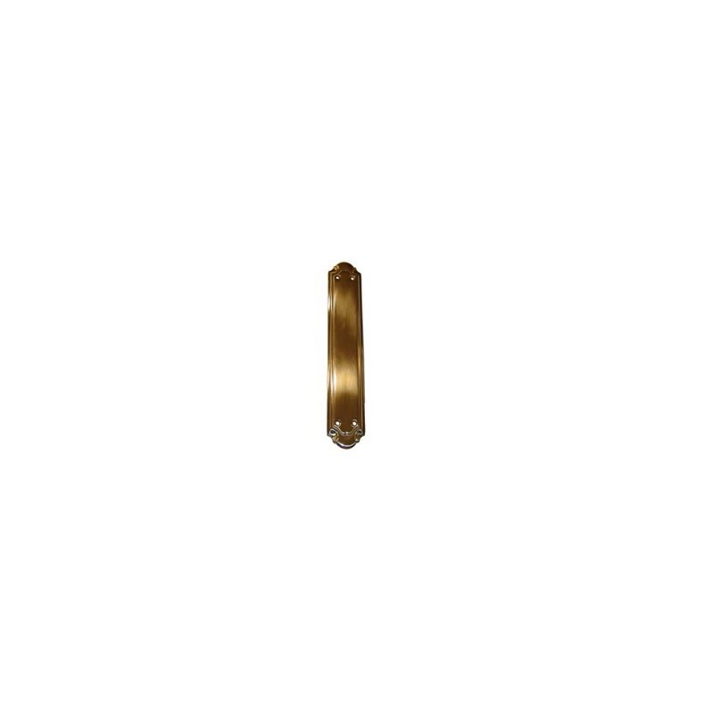 PLACA LIMPIEZA M:5010 PULIDO ZITRO