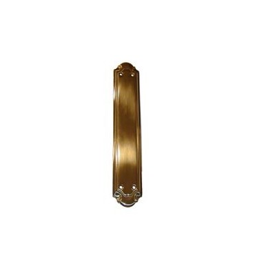 PLACA LIMPIEZA M:5010 PULIDO ZITRO